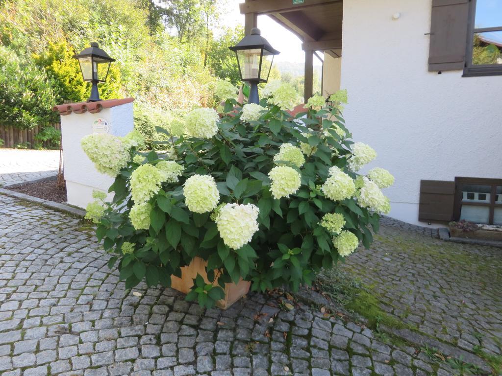 Hittenpichl Bodenmais Kültér fotó